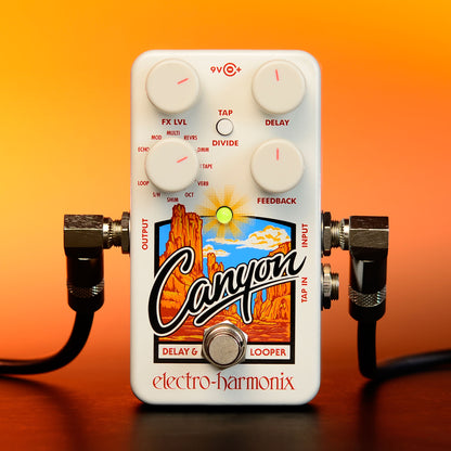 Canyon Delay & Looper Pedal