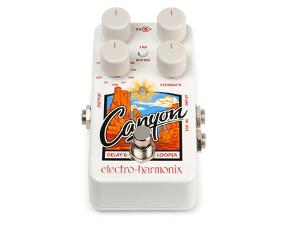 Canyon Delay & Looper Pedal