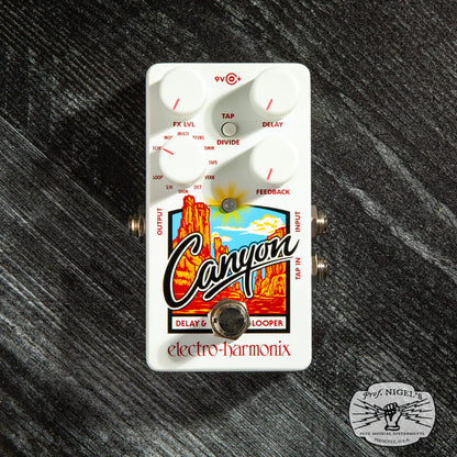 Canyon Delay & Looper Pedal
