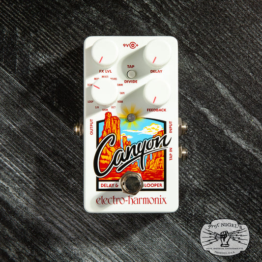 Canyon Delay & Looper Pedal
