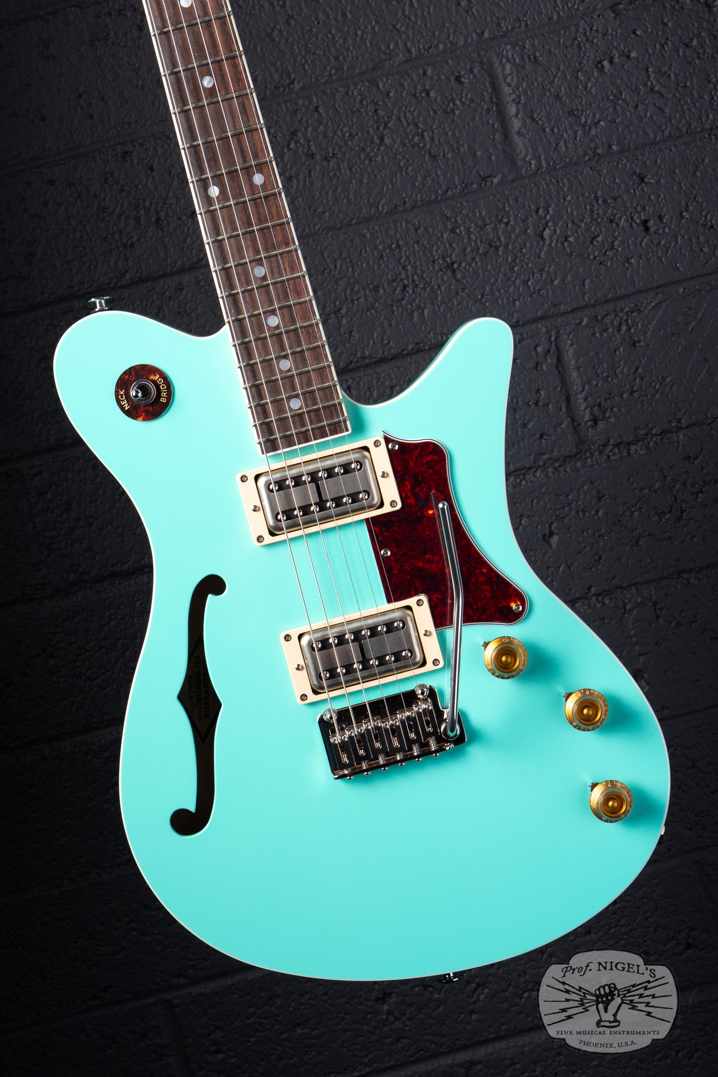Oopegg Trailbreaker Mk-2 w/ Tremolo – Mint – PorterTron Pickups