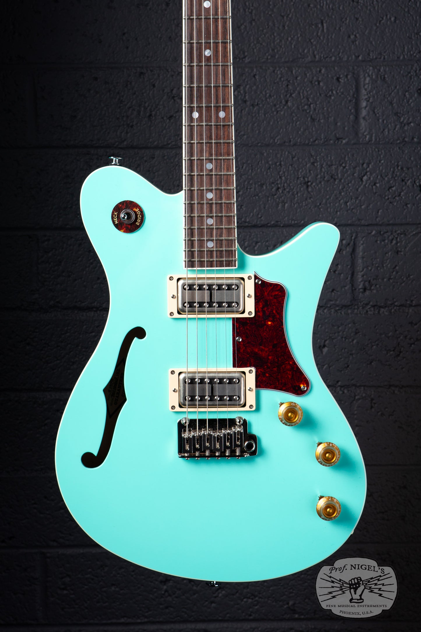 Oopegg Trailbreaker Mk-2 w/ Tremolo – Mint – PorterTron Pickups