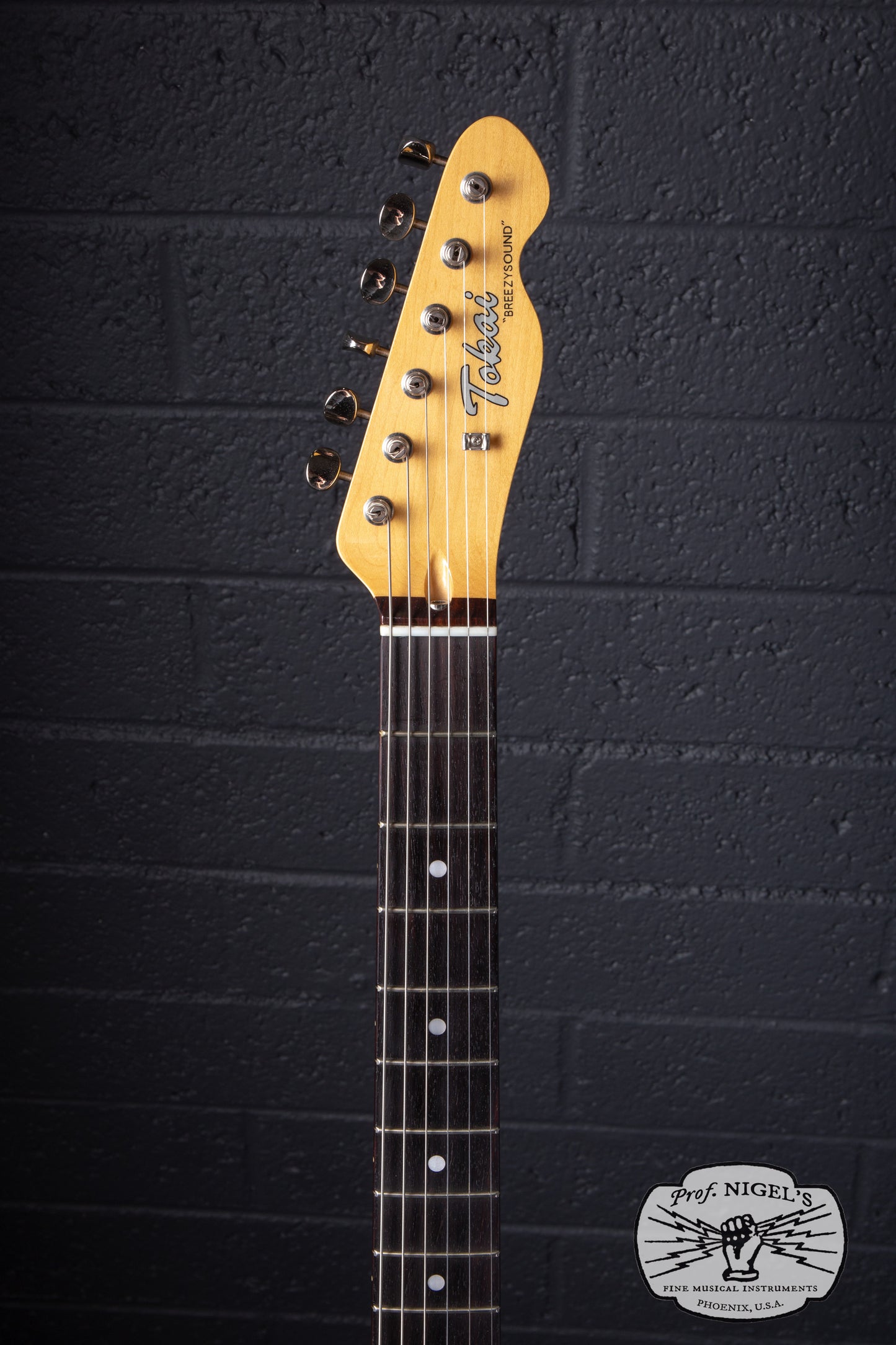 Tokai ATE-101/THIN Breezysound Thinline Shell Pink Rosewood MIJ Japan 2024
