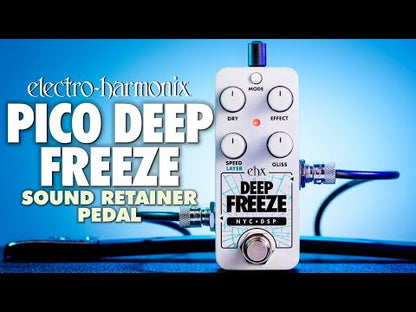 Pico Deep Freeze Sound Retainer