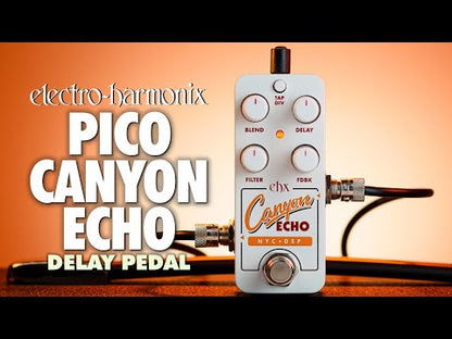 Pico Canyon Delay NYC DSP Series